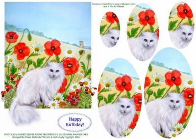 White Cat & Harvest Mouse Among Poppies & Daisies