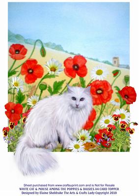 White Cat & Harvest Mouse Among Poppies & Daisies A4 Topper