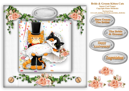 Bride & Groom Kitten Cat Wedding 8 x 8 Card Topper With Decoupage