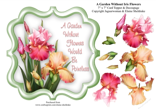A Garden Without Iris Flowers Would Be Pointless - 7 x 7 Card Topper With Decoupage