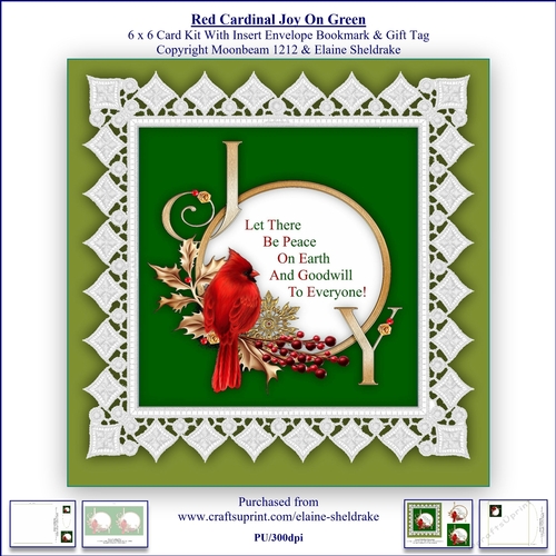 Cardinal Joy On Green 6 x 6 Card Kit With Insert Envelope,Bookmark & Gift Tag