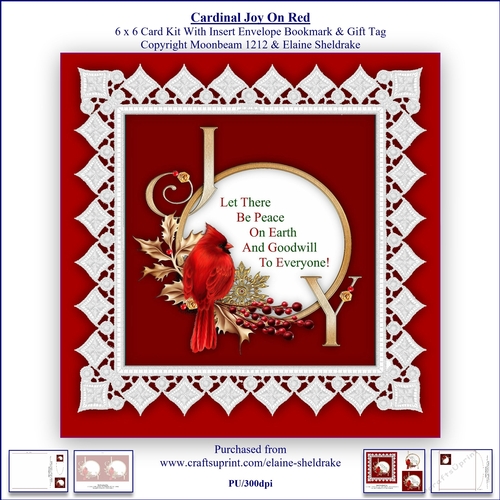 Cardinal Joy On Red 6 x 6 Card Kit With Insert Envelope,Bookmark & Gift Tag