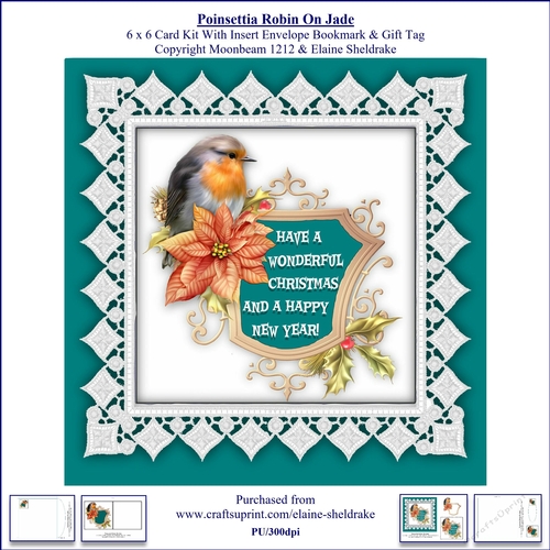 Poinsettia Christmas Robin On Jade 6 x 6 Card Kit With Insert Envelope Bookmark & Gift Tag