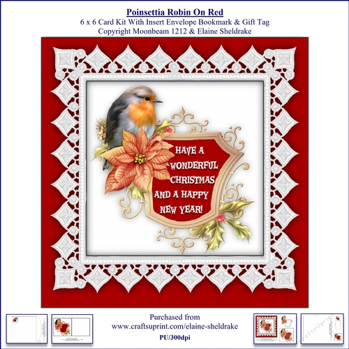 Poinsettia Christmas Robin On Red 6 x 6 Card Kit With Insert Envelope Bookmark & Gift Tag