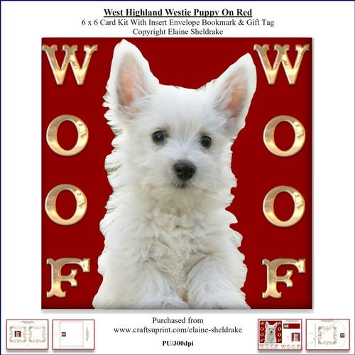 Woof Woof West Highland Terrier On Red  6 x 6 Card Kit