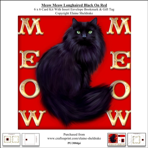Meow Meow Black Longhair Cat On Red - 6 x 6 Card Kit 