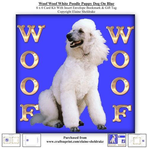 Woof Woof White Poodle Puppy Dog On Blue 6 x 6 Card Kit