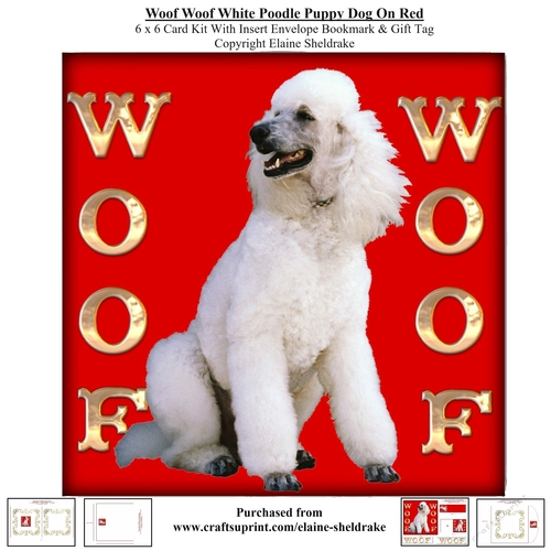 Woof Woof White Poodle Puppy Dog On Red 6 x 6 Card Kit