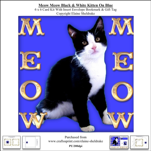 Meow Meow Black & White Kitten On Blue - 6 x 6 Card Kit 