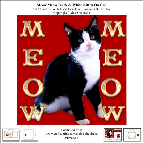 Meow Meow Black & White Kitten On Red - 6 x 6 Card Kit 