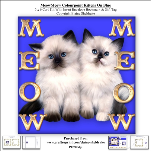 Meow Meow Colourpoint Kittens On Blue - 6 x 6 Card Kit 