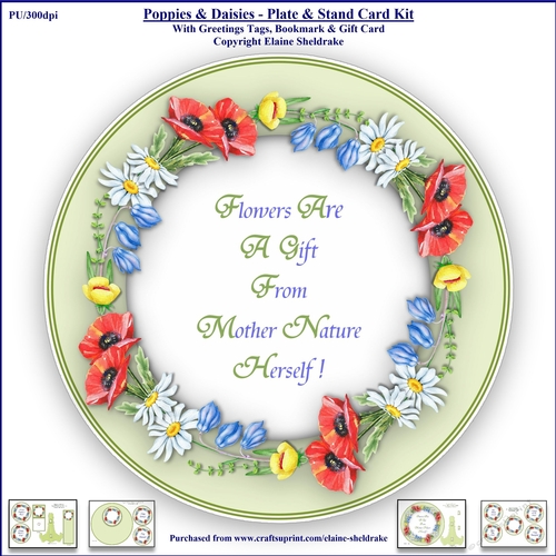 Poppies, Bluebells & Daisies - Plate & Stand Card Kit