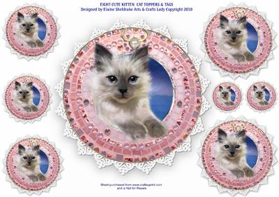 Eight Cute Kitten Cat Toppers & Tags