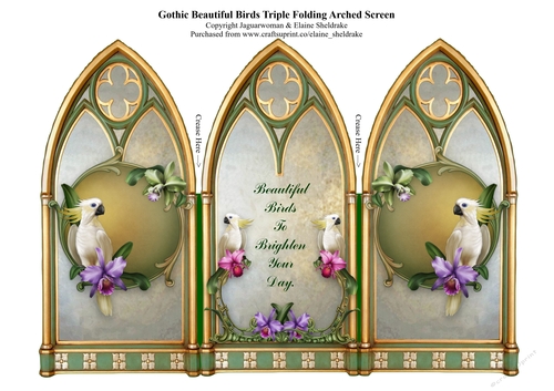 Cockatoo With Orchids & Gothic Triple Screen Card