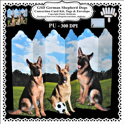 GSD German Shepherd Dogs - Concertina Card Kit With Greetings Tags Decoupage & Matching Envelope
