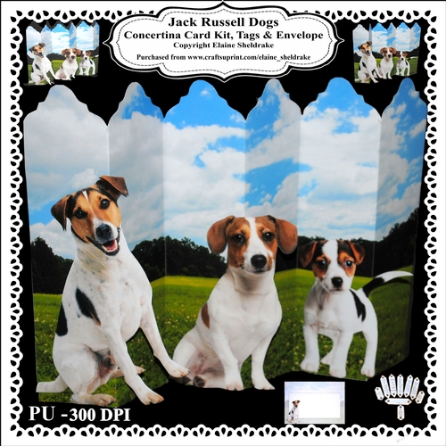 Jack Russell Dogs - Concertina Card Kit With Greetings Tags Decoupage & Matching Envelope