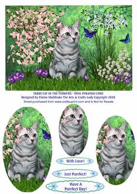 Tabby Cat in the Flowers - Oval Pyramid Card + Sentiments