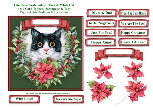 Christmas Poinsettias Watercolour Black & White Cat - 6 x 6 Card Topper With Decoupage & Tags