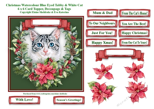 Christmas Poinsettias Watercolour Blue Eyed Tabby Cat - 6 x 6 Card Topper With Decoupage & Tags