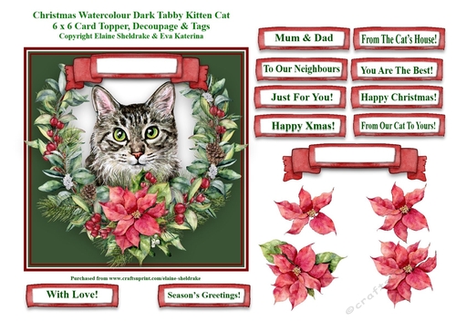 Christmas Poinsettias Watercolour Dark Tabby Cat - 6 x 6 Card Topper With Decoupage & Tags