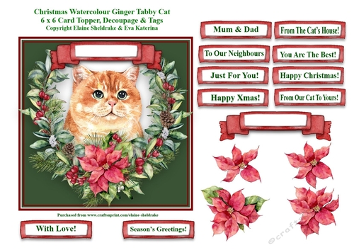 Christmas Poinsettias Watercolour Ginger Tabby Cat - 6 x 6 Card Topper With Decoupage & Tags
