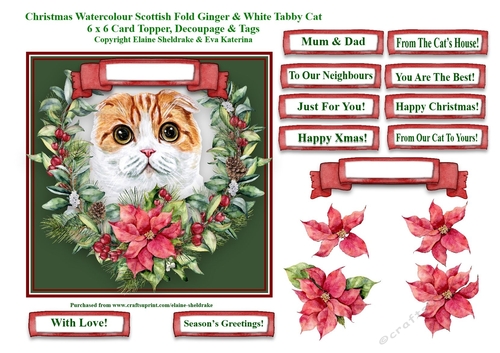 Christmas Poinsettias Watercolour Scottish Fold Cat - 6 x 6 Card Topper With Decoupage & Tags