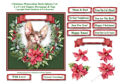 Christmas Poinsettias Watercolour Sphynx Cat - 6 x 6 Card Topper With Decoupage & Tags