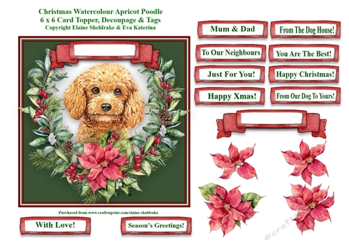 Christmas Poinsettias Watercolour Apricot Poodle Puppy Dog - 6 x 6 Card Topper With Decoupage & Tags