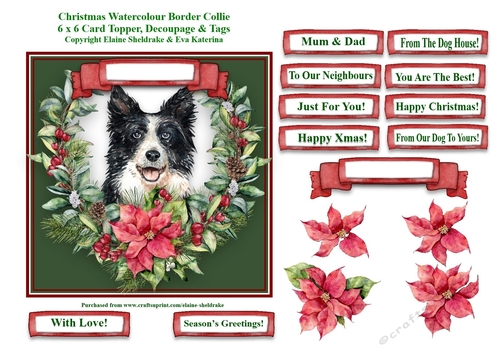 Christmas Poinsettias Watercolour Border Collie Puppy Dog - 6 x 6 Card Topper With Decoupage & Tags