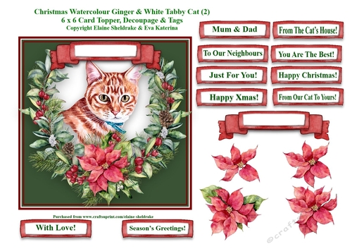 Christmas Poinsettias Watercolour Ginger & White Tabby Cat - 6 x 6 Card Topper With Decoupage & Tags
