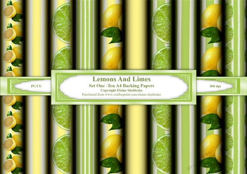 Lemons And Limes - Set One - Ten A4 Sheets of Backing Paper
