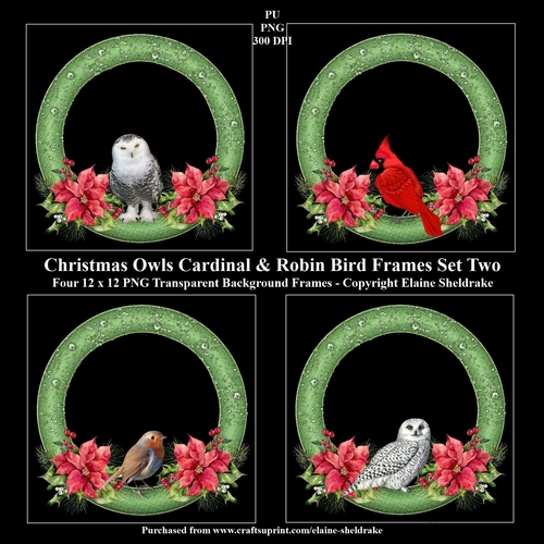 Christmas Snowy Owls, Cardinal & Robin Wreath Frames x 4 PNG