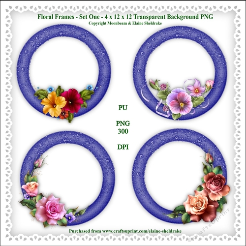 Floral Frames Set One - 4 x PNG Photo Frames With Transparent Backgrounds