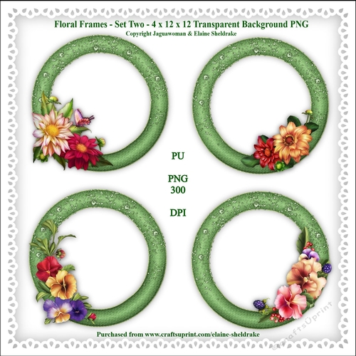 Floral Frames Set Two - 4 x PNG Photo Frames With Transparent Backgrounds