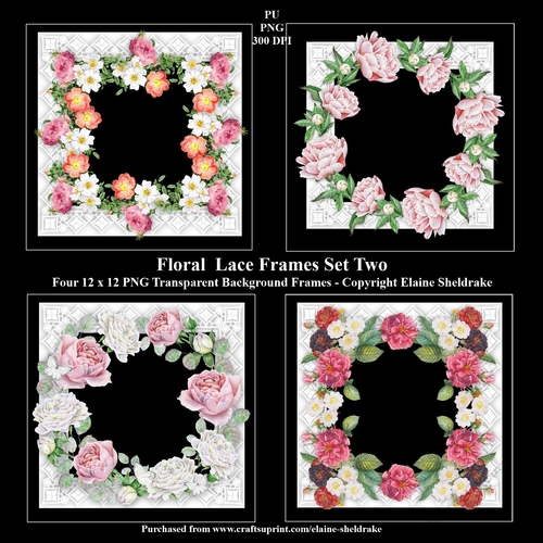 Floral Lace Frames Set Two - 4 x PNG Photo Frames With Transparent Backgrounds