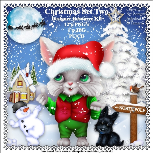 Christmas Cat Set Two - Designer Resource Kit - CU - PU - PNG Clipart