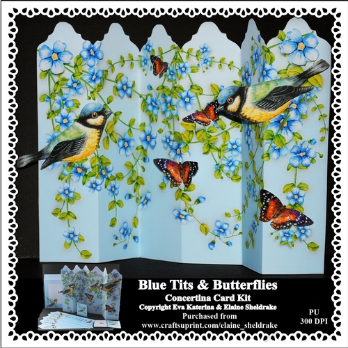 Blue Tits & Butterflies - Over The Edge Concertina Card Kit With Decoupage, Envelope And Tags