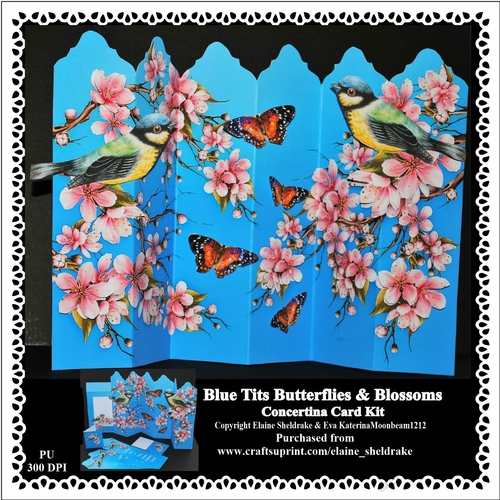 Blue Tits, Blossoms & Butterflies - Over The Edge Concertina Card Kit With Decoupage, Envelope And Tags