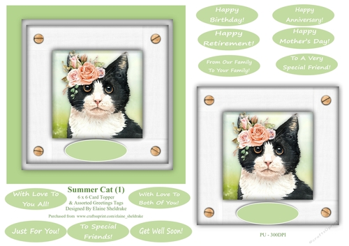 Black & White Summer Cat (1) - 6 x 6 Card Topper 