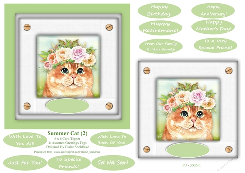 Ginger Summer Cat (2) - 6 x 6 Card Topper 