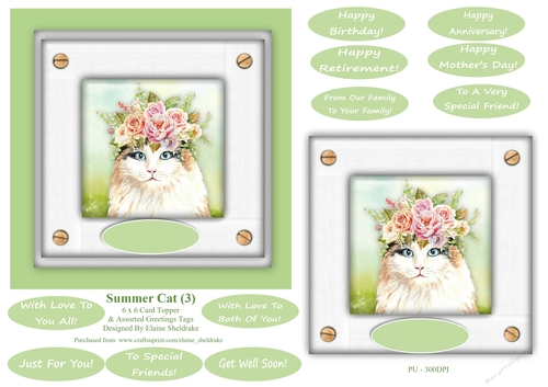 Ginger Summer Cat (3) - 6 x 6 Card Topper 