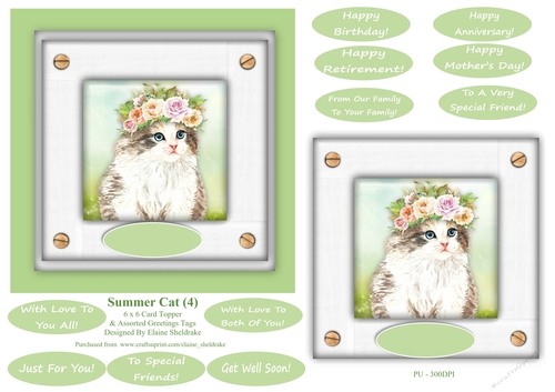 Tabby & White Summer Cat (4) - 6 x 6 Card Topper 