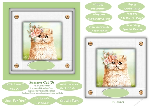 Ginger Summer Cat (4) - 6 x 6 Card Topper 
