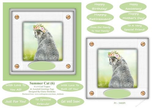 Grey Summer Cat (6) - 6 x 6 Card Topper 