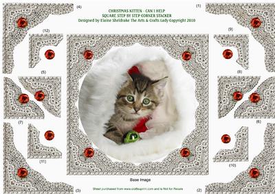 Christmas Kitten - Can I Help?