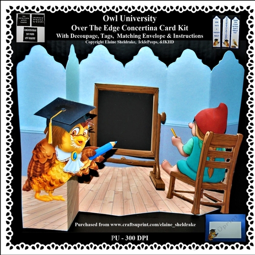 Owl University - Over the Edge Concertina Card Kit 