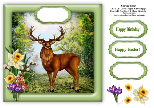 Spring Stag -  7.5 x 7.5 Card Topper To Fit 8 x 8 Cards Comfortably.