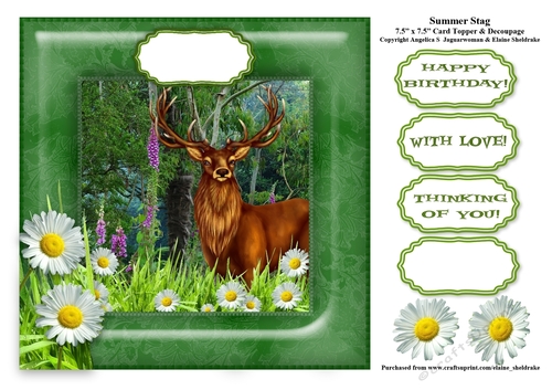 Summer Stag - 7.5 x 7.5 Card Topper To Fit 8 x 8 Cards Comfortably