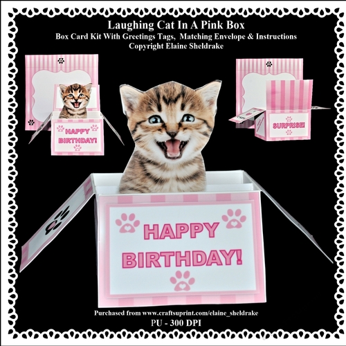 Laughing Kitten In A Pink Box - Box Card Kit With Greetings Tags, Instructions And Matching Envelope
