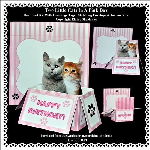 Two Little Kittens In A Pink Box - Box Card Kit With Greetings Tags, Instructions And Matching Envelope
